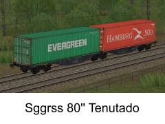 Zweiteiliger Containertragwagen Typ Sggrss Tenutado