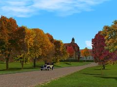 Herbstvegetation bunt