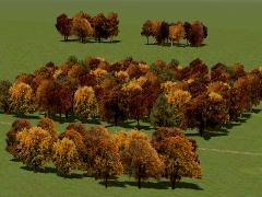 Herbstbäume als Gruppen und Waldmodule