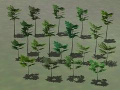 Kleine Laubbäume (3D)