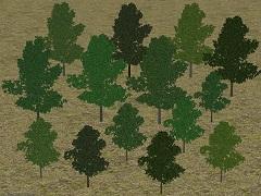 Laub-Bäume - 7 verschiedene Arten – Sommer
