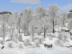 Winterliche Laubbäume und Büsche (V80NUB30012 )