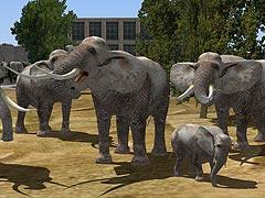Elefanten (V80NWA10054 )