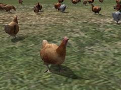 Kinematisch animierte Hühner ab EEP 9.1