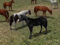 Kinematisch animierte Pferde ab EEP 9.1 (V90NSP10019 )